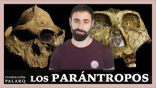 🔹 Los PARÁNTROPOS  Las principales especies de homininos y etapas de la prehistoria [upl. by Eatnuhs]