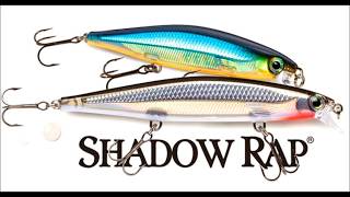 Rapala Shadow Rap [upl. by Jed273]