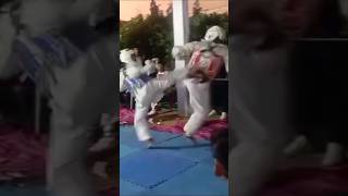 Taekwondo knockout knockout kick  power roundhouse kick Taekwondo MartialArts RoundhouseKick [upl. by Cicely]