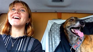 Solo Female Van Life With A Dog 🐾🚐 [upl. by Nyrak]