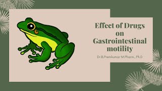 Effect of drugs on Gastrointestinal Motility [upl. by Anaer235]