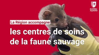 Les centres de soins de la faune sauvage en NouvelleAquitaine [upl. by Dardani]