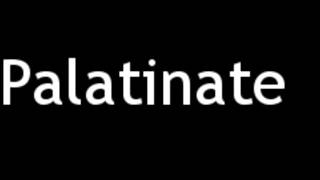 How to Pronounce Palatinate [upl. by Reiter]