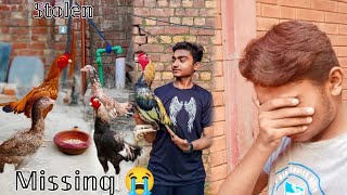 BIG LOSS  SAB BIRDS CHORI HO GY😭 SETUP VIRAN🥺  NEED YOUR HELP 🙏 [upl. by Silvain416]