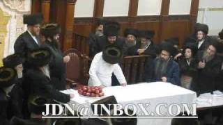 Sukkos 5770 with the Tosher Rebbe [upl. by Grae]