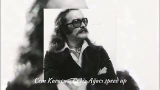 Cem Karaca  Ceviz Ağacı speed up ver [upl. by Nwahsyar446]