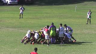 Hamilton u20 2024 SLA vs SK Walmers Rugby Club second half [upl. by Oleta]