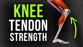 Build Knee Tendon Strength in 5 Minutes [upl. by Sakram]