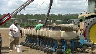 FILLING THE 12 ROW TWINROW MONOSEM PLANTER SCOTT FARMS 2019 PEANUT PLANTER FILLING [upl. by Aruam442]