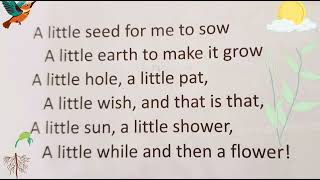 LITTLE SEED ENGLISH RHYME [upl. by Tserof]