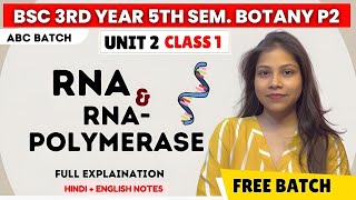 RNATypes of RNARNA Polymerase amp its types BSc 5th Semester botany paper 2 unit 2 💯🔥 [upl. by Loralie]