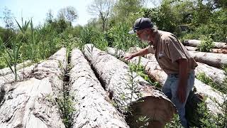 Building the TotalBoat Sport Dory Episode 2  Sourcing White Oak Lumber [upl. by Lovell160]