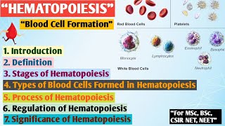 Hematopoiesis  Formation of blood  Erythropoiesis  Hematopoiesis MSc zoology Hindi notes [upl. by Evie676]