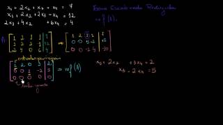 Matrizes  Forma Escalonada Reduzida por linha [upl. by Anaiq46]