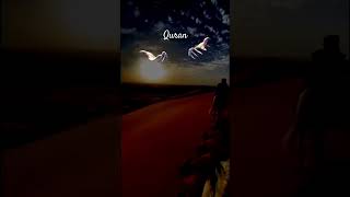 Quran tarjuma urdu quranismylife motivation quran nature viral viralshort trending popular [upl. by Shuma359]