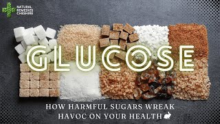 Glucose Wars How Harmful Sugars Wreak Havoc on Your Health [upl. by Trabue]