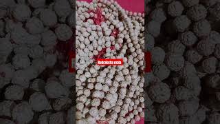 Rudraksha mala rudraksha songviral [upl. by Roux430]