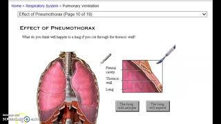 Respiratory review 2 pulmonry and intrapleural pressure [upl. by Simeon727]