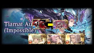 GBF Tiamat aura omega FA 4B1S 890K1M Revan MK2 Grid FeatYatimaDeath [upl. by Tanney]