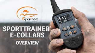 SportDOG Brand® SportTrainer® ECollars [upl. by Ahsiuqram]