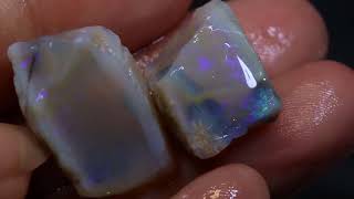 Visit our OPALS at wwwtrueblueopalscom trueblueopals [upl. by Curhan342]