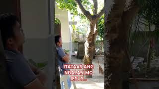 ITATAAS ANG NGALAN MO JESUS SA LUALHATI AT PAGSAMBAworship prayers evangelism [upl. by Mond871]