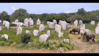 CARNAC [upl. by Isis]