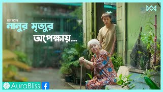 থাইল্যান্ডের সত্য ঘটনা 💔 How to Make Millions Movie Explain In Bangla Korean Drama Bangla 🟤Cinemohol [upl. by Aholla245]