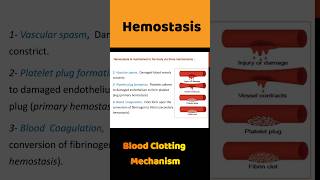 Blood Clotting  Blood Coagulation  hemostasis bloodclotting shortsfeed [upl. by Ilat]