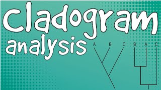 Cladogram AnalysisCSIR UGC NET group C [upl. by Serafina943]