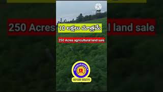 250 Acres Agriculture land sale  Nellore district  Dagadarthi near Acre  10 lakhs [upl. by Lilia]