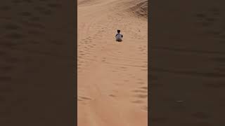 Sandboarding in Dubai Fun video sandboarding dubai desert [upl. by Musser]