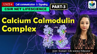 CALCIUMCALMODULIN COMPLEX GPCR PART3  CSIR NET  CELL SIGNALING [upl. by Ylil]