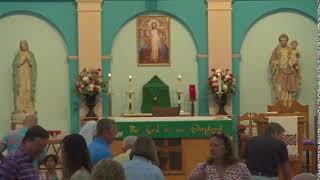 All Saints Catholic Church  800 Mass  July 7 2024 [upl. by Renat]