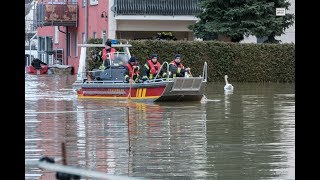 Hochwasser am Rhein 2018 [upl. by Ydaf]