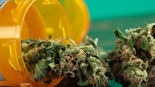 Connecticut Medical Marijuana Dispensaries 3 Things to Know [upl. by Bergstrom]