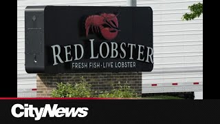 Business Report Red Lobster is back for now [upl. by Rengaw665]