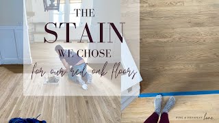 The STAIN We Chose for Our Red Oak Floors  Part 3 [upl. by Nelyk232]