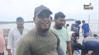 Goan Reporter BUMPER FISH CATCH Fisherman busy in clearing up fish AT CARANZALEM BEACH ON FRIDAY [upl. by Nwahsem]