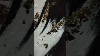 Textured gold Fringe canvaspainting satisfyingvideo [upl. by Hnah]