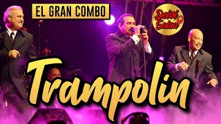 El Gran Combo  Trampolín Live [upl. by Luhey]