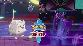 Togedemaru Matador de Lendários  Pokémon Sword amp Pokémon Shield  VGC 2022 Series 12 [upl. by Zat]