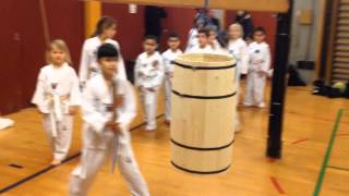 Fastelavn 2014 i Taastrup Taekwondo [upl. by Alrep]