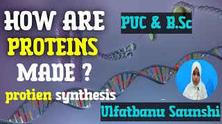 DNA TO PROTEIN  PROTEIN SYNTHESIS  TRANSCRIPTION AND TRANSLATION 💥💥 [upl. by Arutnev]