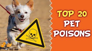 Top 20 Deadly Pet Poisons Every Owner Must Know About [upl. by Benco]