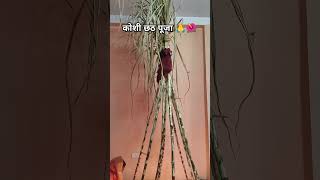 Kosi bhare chali 🙏🥰kosi puja 🙌🌺kosi chhathPuja youtubeshorts viralvideo anudubeychhathgeet [upl. by Nivlak]