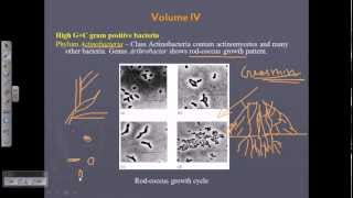 Bergeys Manual Vol 4  Gram positive bacteria [upl. by Luana435]