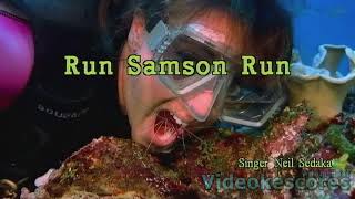 Neil Sedaka  Run Samson Run KaraokeLyricsInstrumental [upl. by Ruthy]