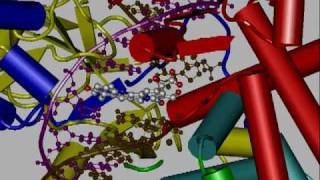 Interazione tra DNA Topoisomerasi I e farmaco inibitore [upl. by Mohn332]