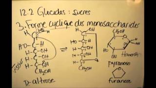 122c Glucides  Forme cyclique des monosaccharides [upl. by Daggett274]